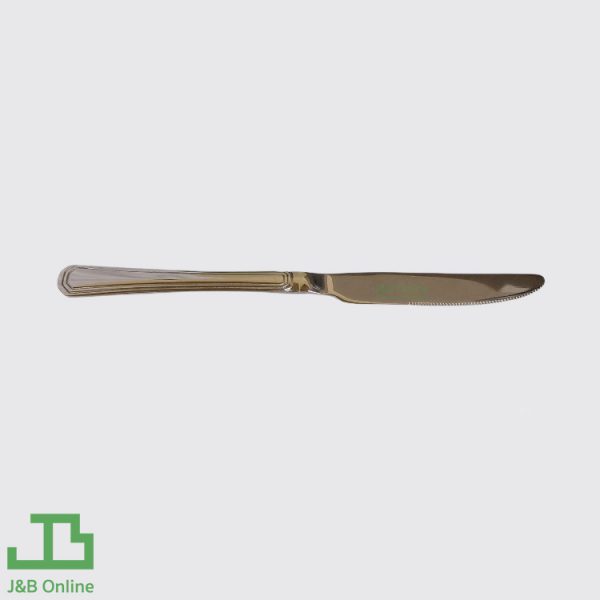 Stainless steel steak knife 23cm (12 pieces) CND9